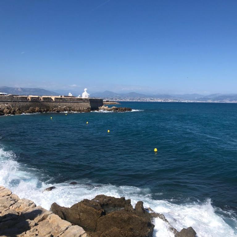 Vieil Antibes, ravissant 2p avec petite terrasse - Appartement 1 Chambre - 31