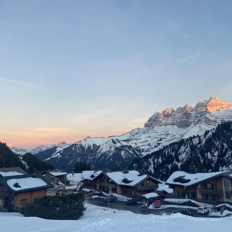 2 Bedroom Apartment, ski-in/ski-out in Les Crosets - Apartment mit 2 Schlafzimmern - 8