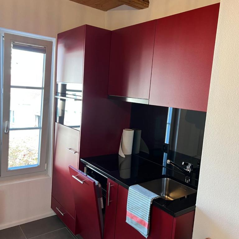 Studio JASMINE interlaken - One-Bedroom Apartment - 16