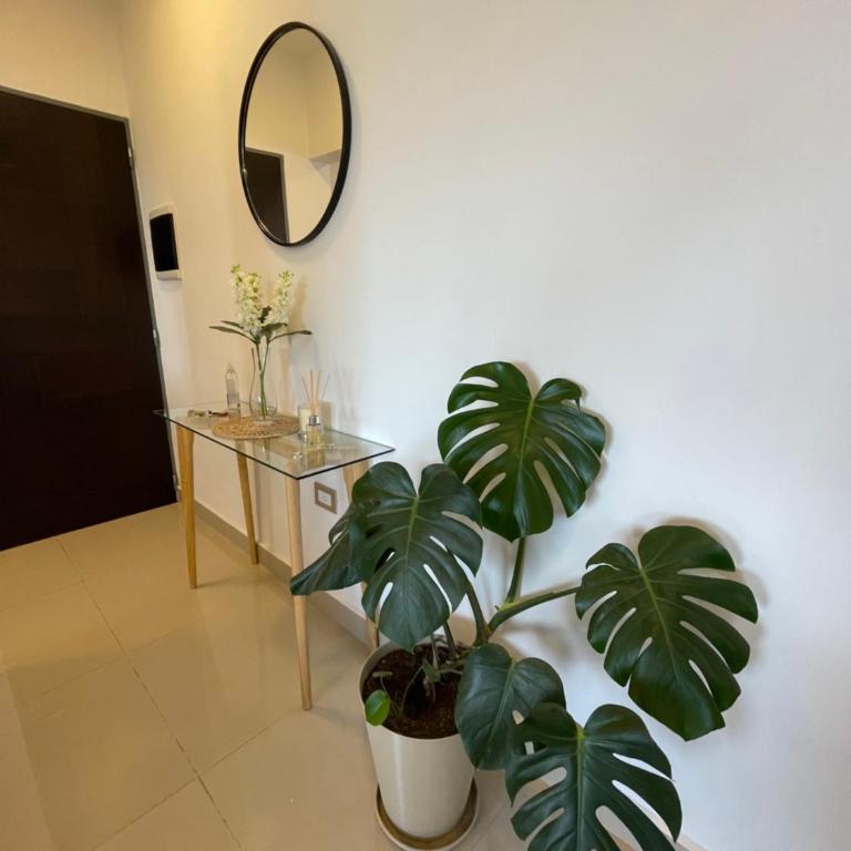 Departamento Bambú Salta Capital - Apartamento de 2 dormitorios - 6