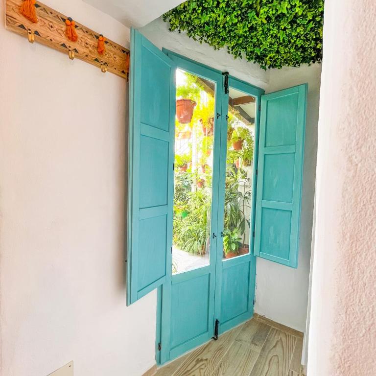 Apartamento la muralla - Apartamento de 1 dormitorio - 1