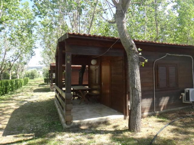 Citrigni - Bungalow - 1