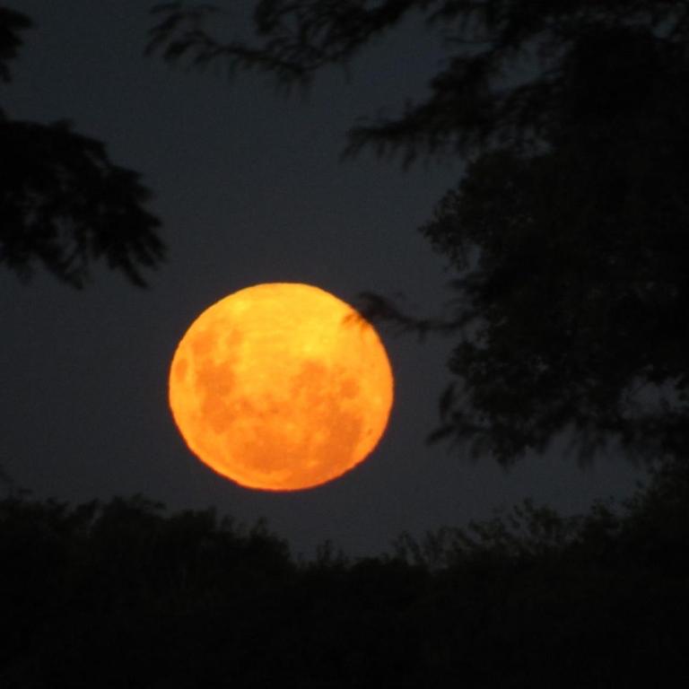 Tiny House, La Candelaria - Casa con 1 dormitorio - 16