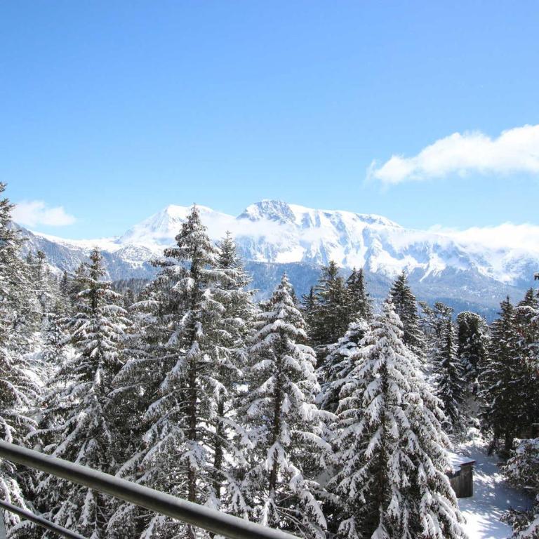 2 pièces 6 pers. 3* à Chamrousse, balcon pied des pistes - FR-1-549-116 - Appartement - 10