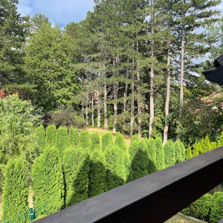 Dušan lux Palisad Zlatibor 1000 - Two-Bedroom Apartment - 21