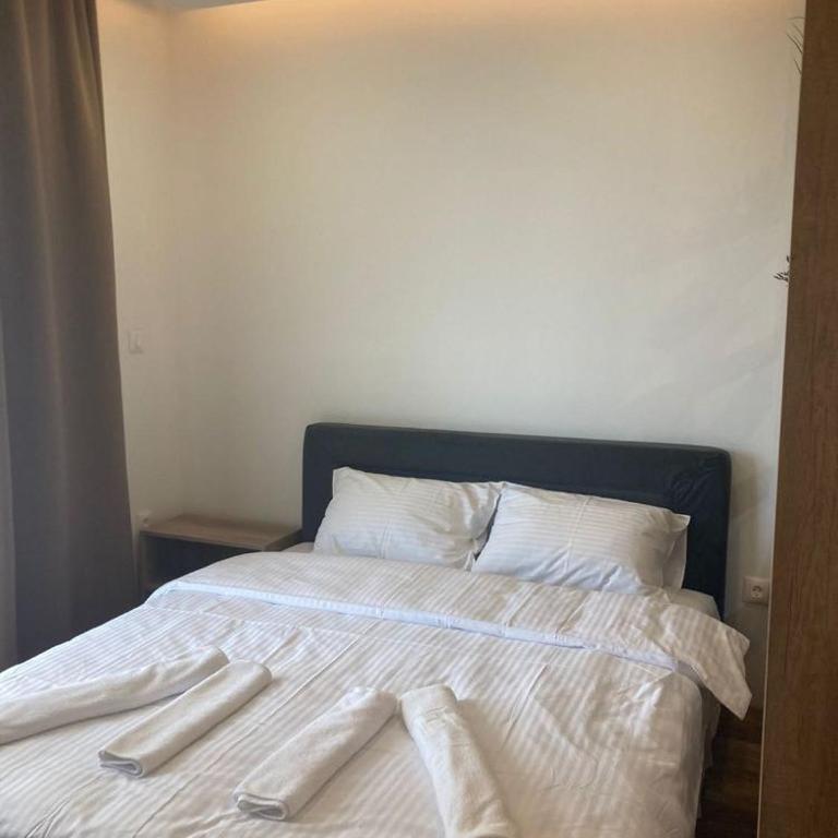 Kopaonik presidentKop apartman - Apartman sa 1 Spavaćom Sobom - 11