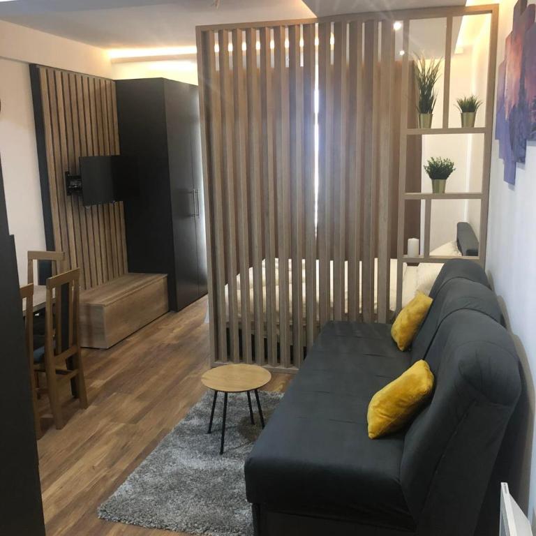 Kopaonik presidentKop apartman - Apartman sa 1 Spavaćom Sobom - 5