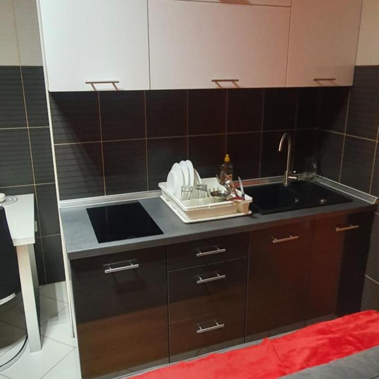 Apartment Savanovic - Studio Apartman - 10