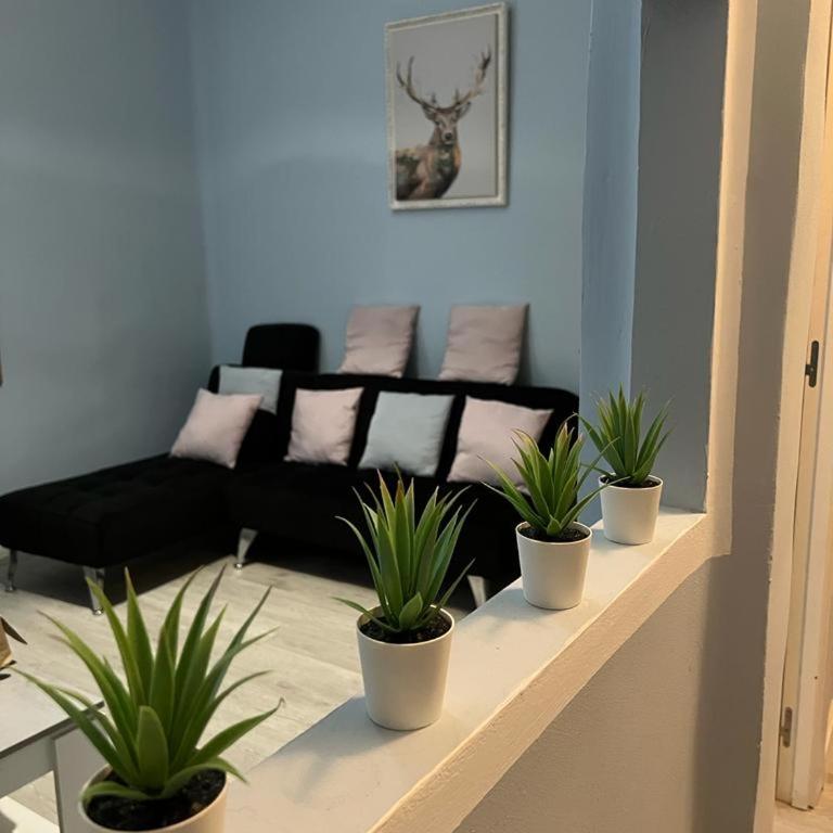 Retiro Atocha Paseo Del Prado , Madrid - Two-Bedroom Apartment - 38