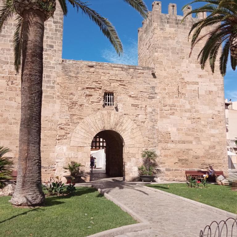 Cap de Mar - Apartamento de 1 dormitorio - 14
