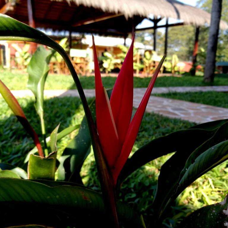 Abenteuer für die ganze Familie - Großzügiges Haus im ZenGarden Paraguay - Two-Bedroom House - 30