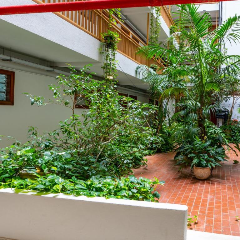 Estudio Hortensia - Estudio con balcón - 16