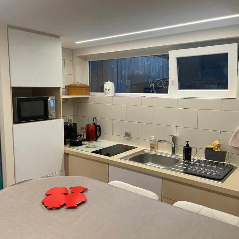 appart privé dans villa meinau résidentiel - Apartamento de 1 dormitorio - 14