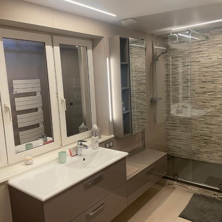 appart privé dans villa meinau résidentiel - Apartamento de 1 dormitorio - 16