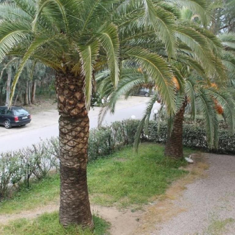 T2 Calvi entierement équipé à 150m de la plage. - Appartement 2 Chambres - 7