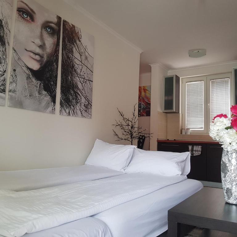 Rajiceva 5- apartman sa prostranom terasom i garaznim mestom - One-Bedroom Apartment - 10