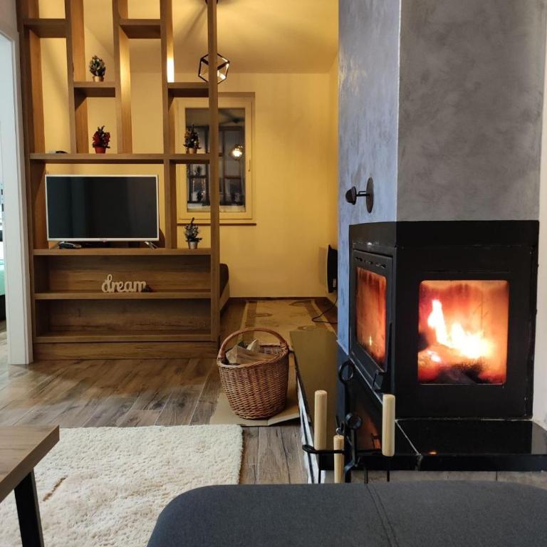 Apartmani Dimitrije Jahorina - Two-Bedroom Apartment - 15
