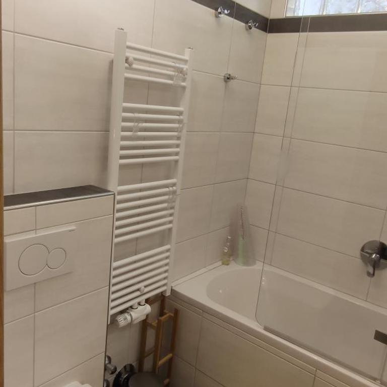 Alpenappartements Domicil include JOKER CARD - Estudio Superior - 10