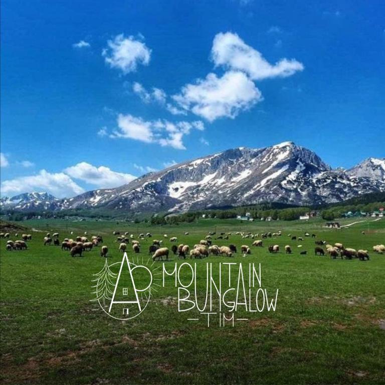 BUNGALOVI TIM - Two-Bedroom House - 9