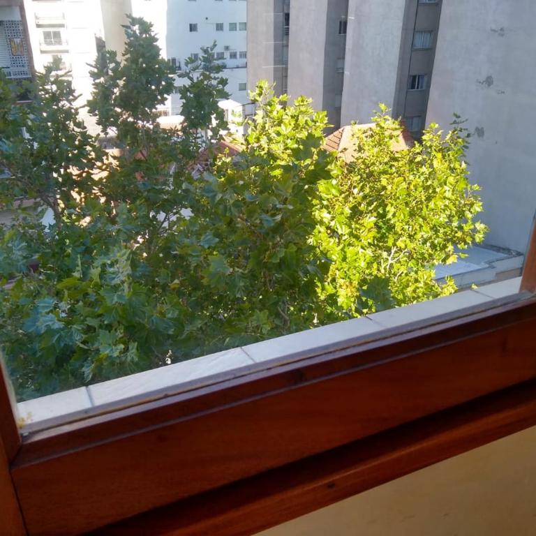 Las Magnolias - One-Bedroom Apartment - 3