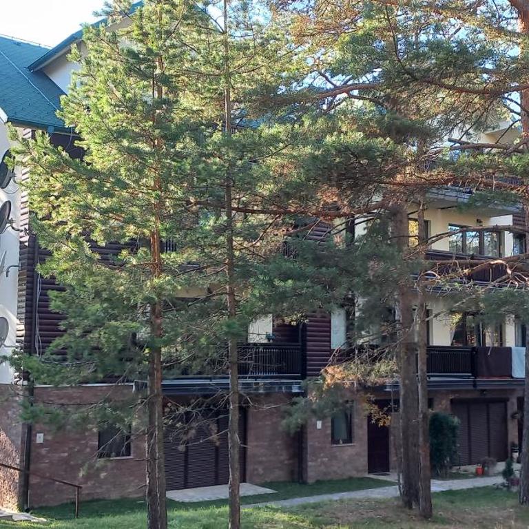 Divčibare Snežna Kraljica ap 13 - Apartman sa 1 Spavaćom Sobom - 36