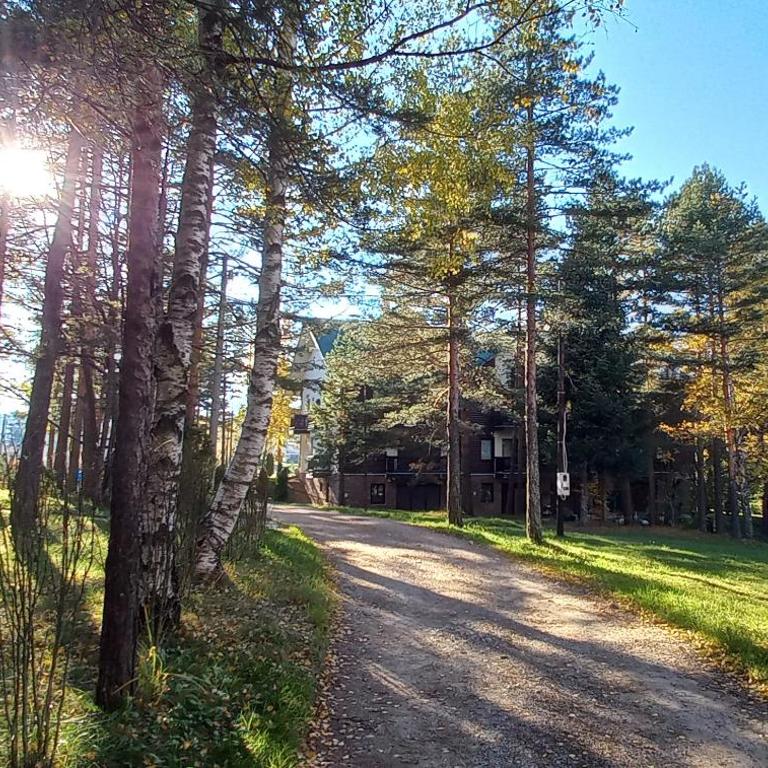 Divčibare Snežna Kraljica ap 13 - Apartman sa 1 Spavaćom Sobom - 44