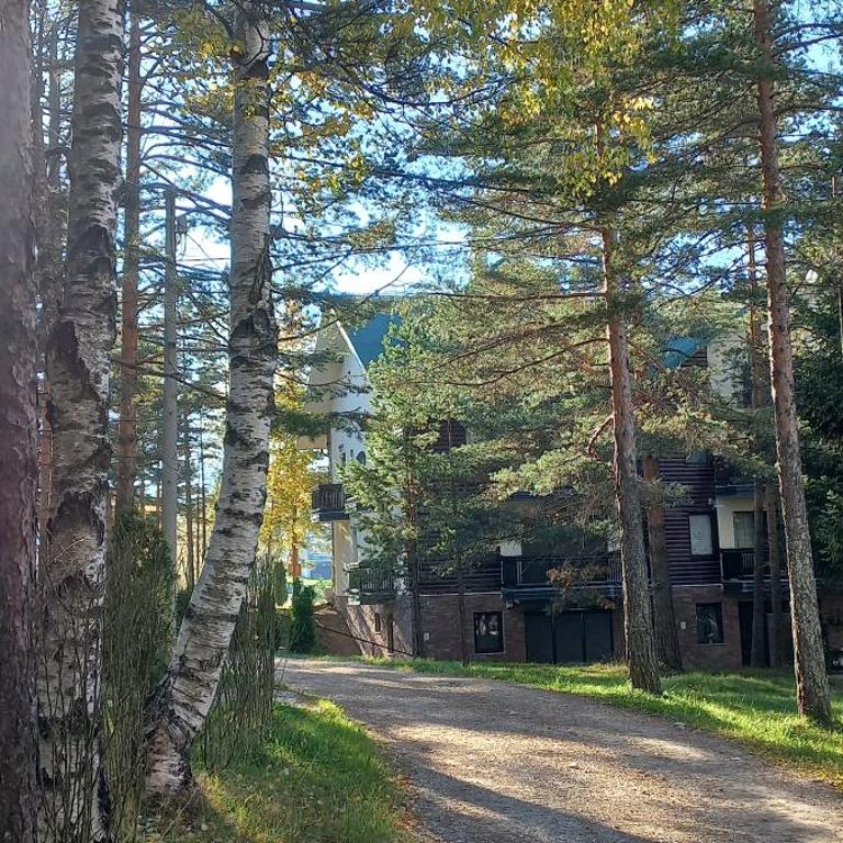 Divčibare Snežna Kraljica ap 13 - Apartman sa 1 Spavaćom Sobom - 47
