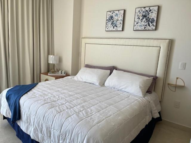 CONDO DE LUJO EN PLAYA ZONA DORADA CAMINO AL MAR - Two-Bedroom Apartment - 5