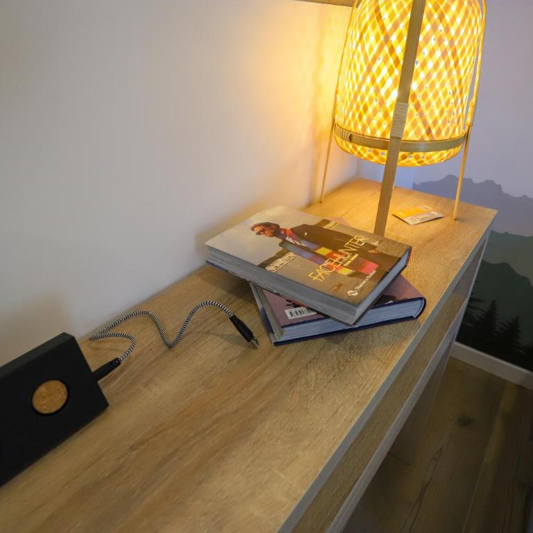 Rêve blanc 2 étoiles à Annecy centre ville et lac - Apartment mit 1 Schlafzimmer - 14