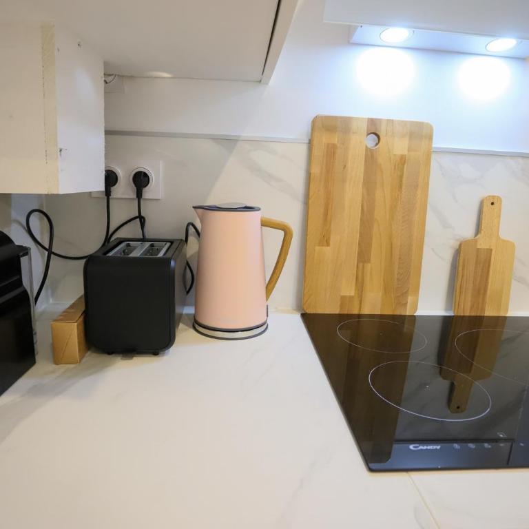 Rêve blanc 2 étoiles à Annecy centre ville et lac - Apartment mit 1 Schlafzimmer - 15