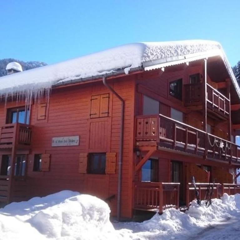 Duplex ski aux pieds pour 6 pers, bien équipé - Appartement 2 Chambres - 2