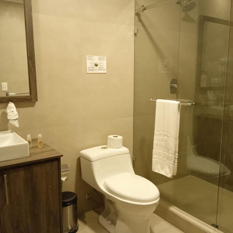 Hotel Raymipampa - Deluxe Double Room - 6