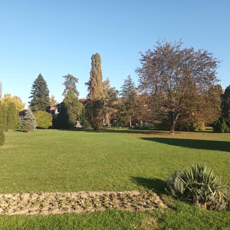 Apartman Lavanda Banja Koviljaca - Apartman sa 1 Spavaćom Sobom - 39