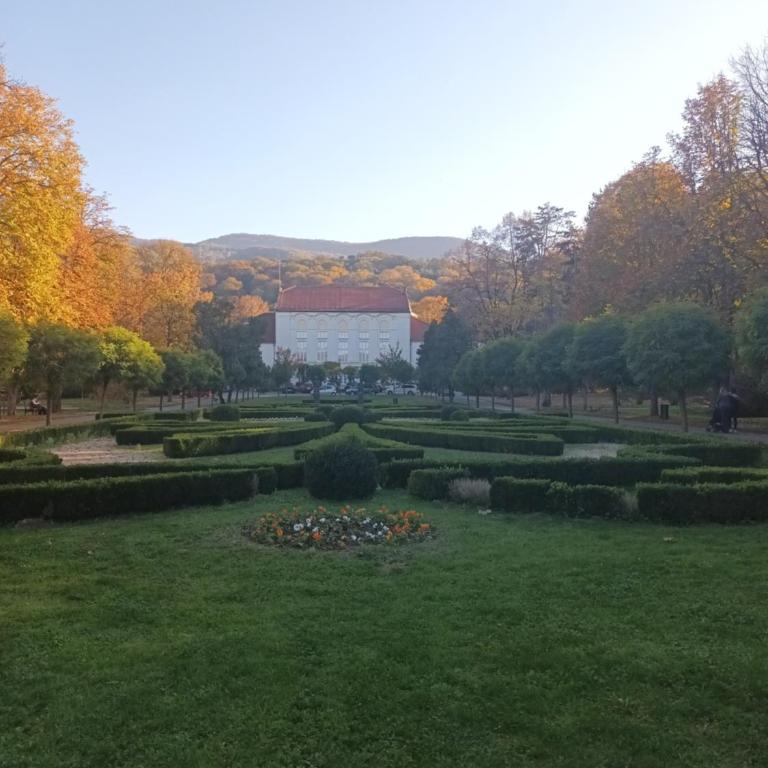 Apartman Lavanda Banja Koviljaca - Apartman sa 1 Spavaćom Sobom - 36
