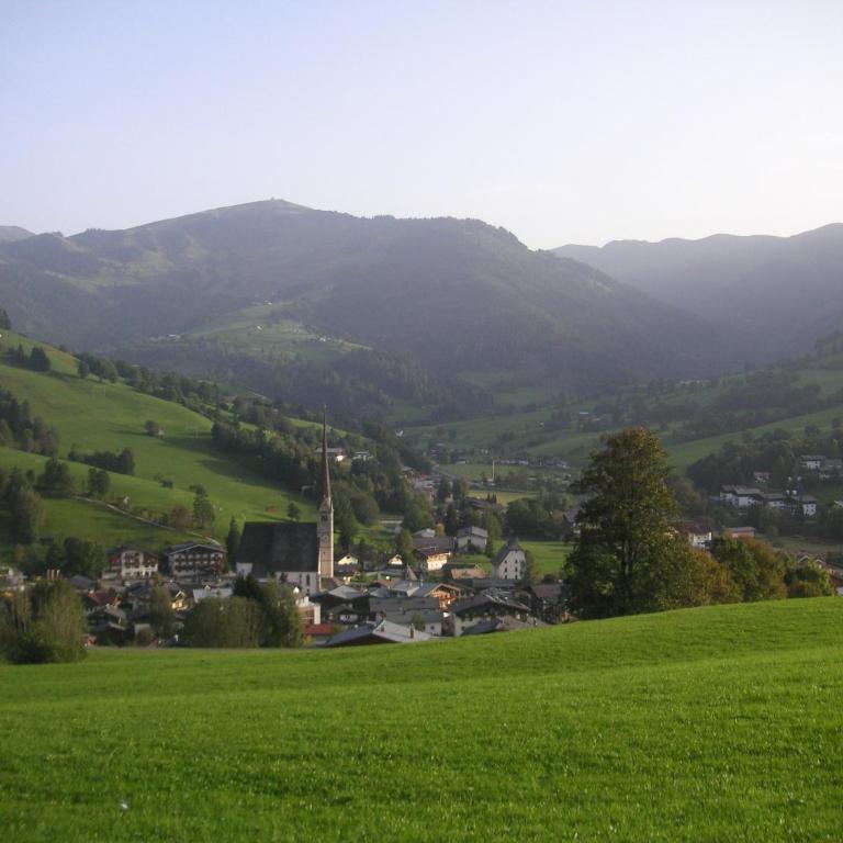 Bergleben Maria Alm - Haus Panorama - Apartment mit 2 Schlafzimmern - 28