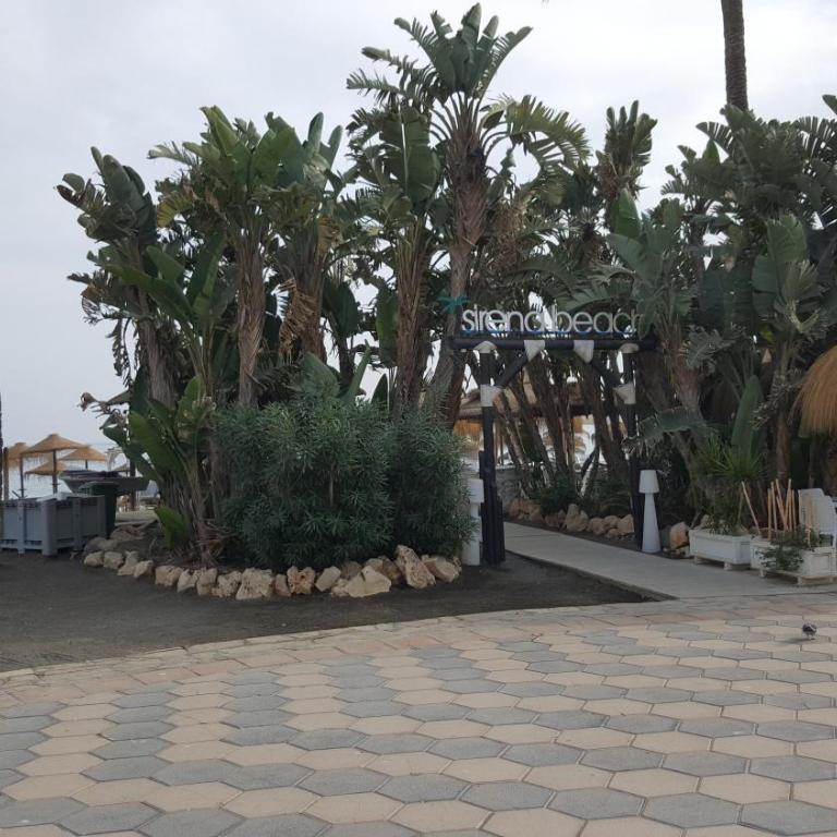 Sonnenküste Andalusien - Apartamento de 1 dormitorio - 12