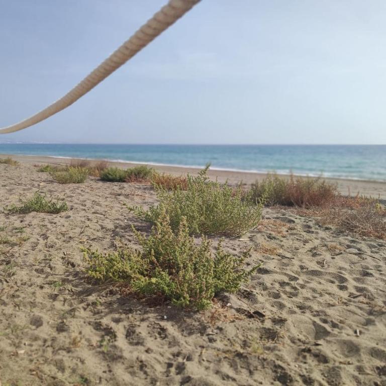 13 Modern apt for 6 guest with shared pool in Manilva Andalucia - Apartamento con vistas al jardín - 46