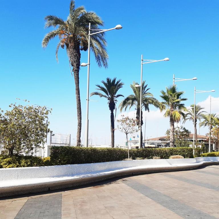 Apartment Costa Blanca in Torrevieja - Apartamento de 2 dormitorios - 23