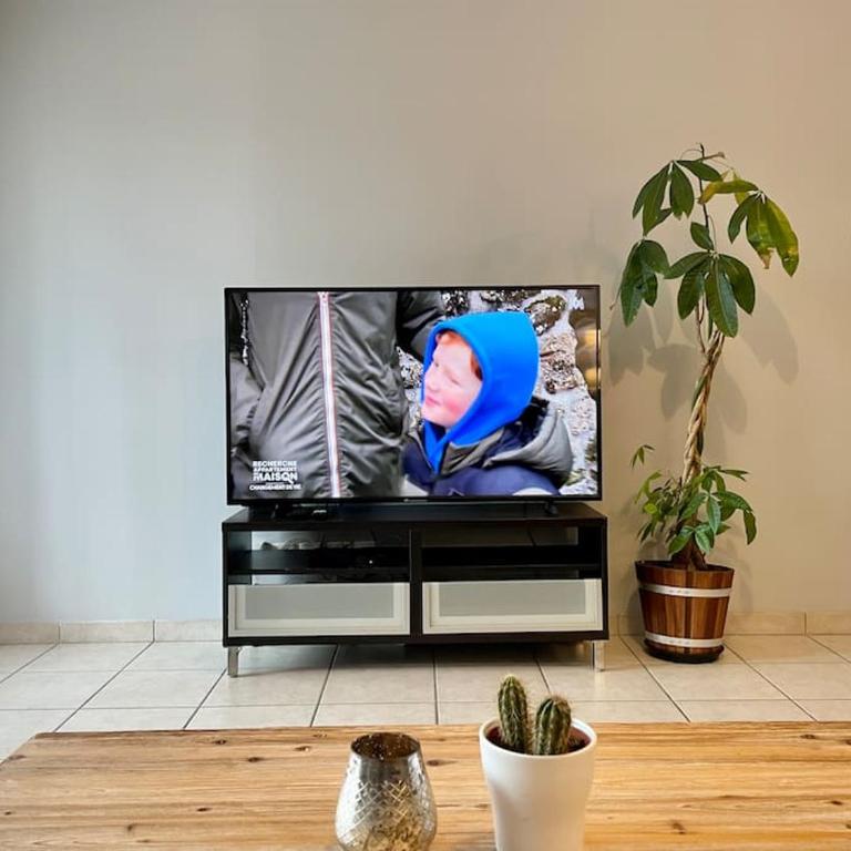 L'idéal Cosy-wifi-Netflix et Garage - Appartement - 13