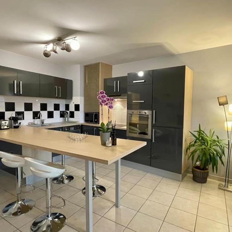 L'idéal Cosy-wifi-Netflix et Garage - Appartement - 15