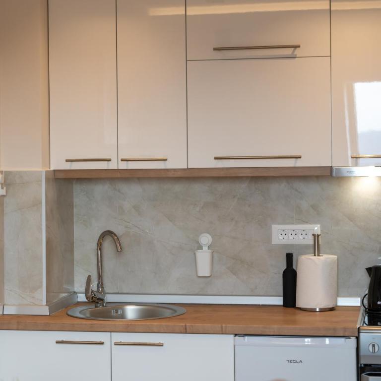 Apartman M61 Lux&Spa,vila Elsa 2 - Apartman sa 1 Spavaćom Sobom - 26