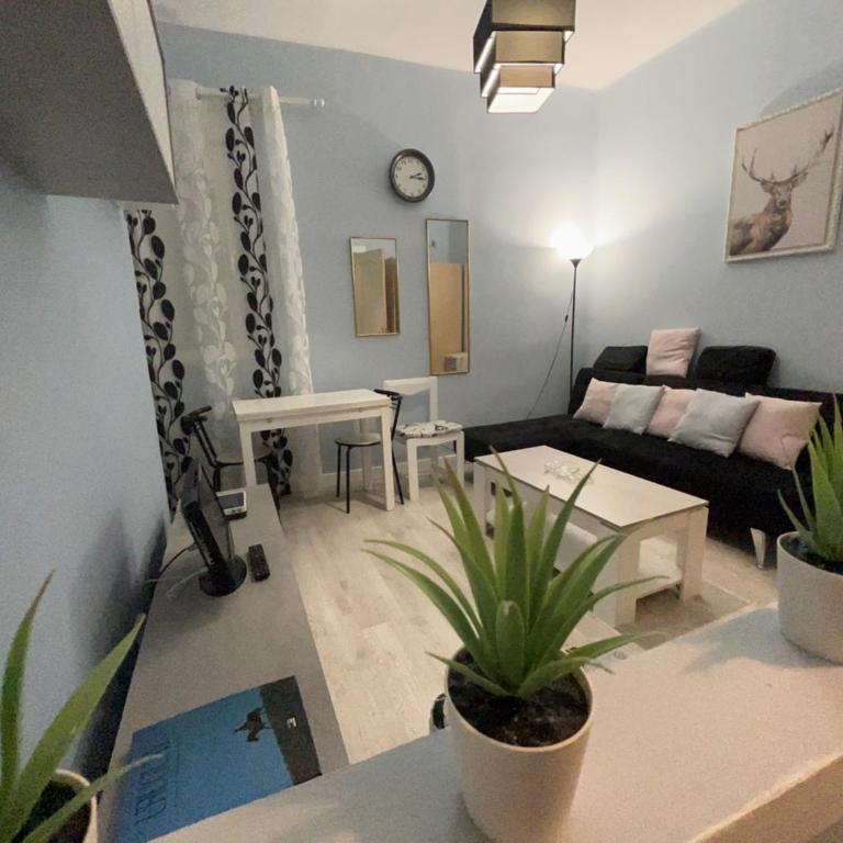 Retiro Atocha Paseo Del Prado , Madrid - Two-Bedroom Apartment - 76