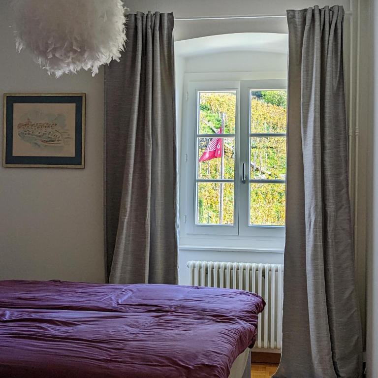 Domaine de la Crausaz - Apartment mit 3 Schlafzimmern und Aussicht - 8