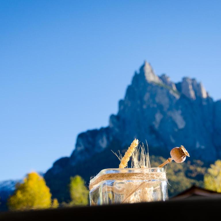 Traumhafter Ausblick - Apartamento - 8