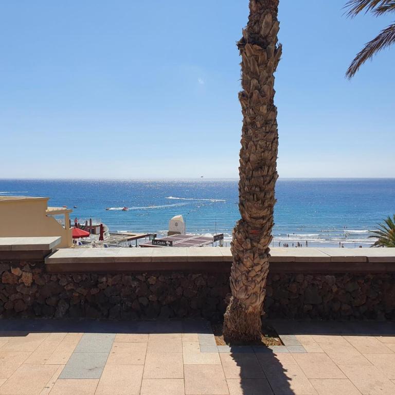 Apartment Aida 202 by VillaGranCanaria - One-Bedroom Apartment - 25