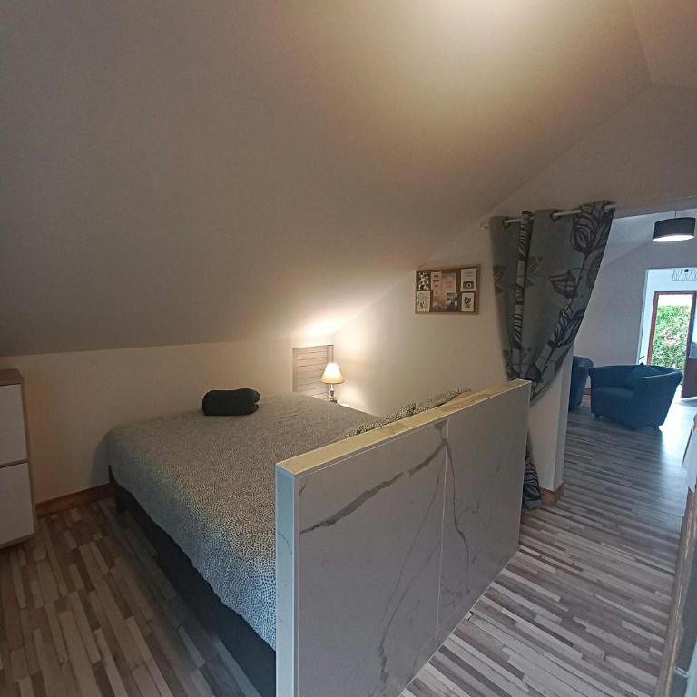 Les Mansardes l'Appart - Apartamento de 1 dormitorio - 14