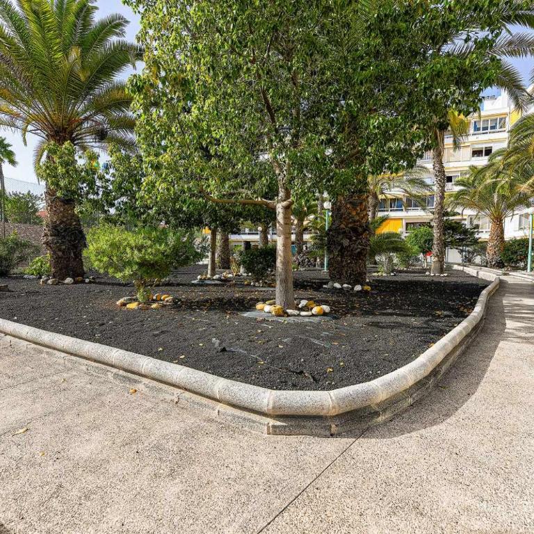 ALOE ENCANTADOR CLOSE TO YUMBO AND DUNAS - Apartamento - 22