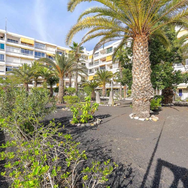ALOE ENCANTADOR CLOSE TO YUMBO AND DUNAS - Apartamento - 23