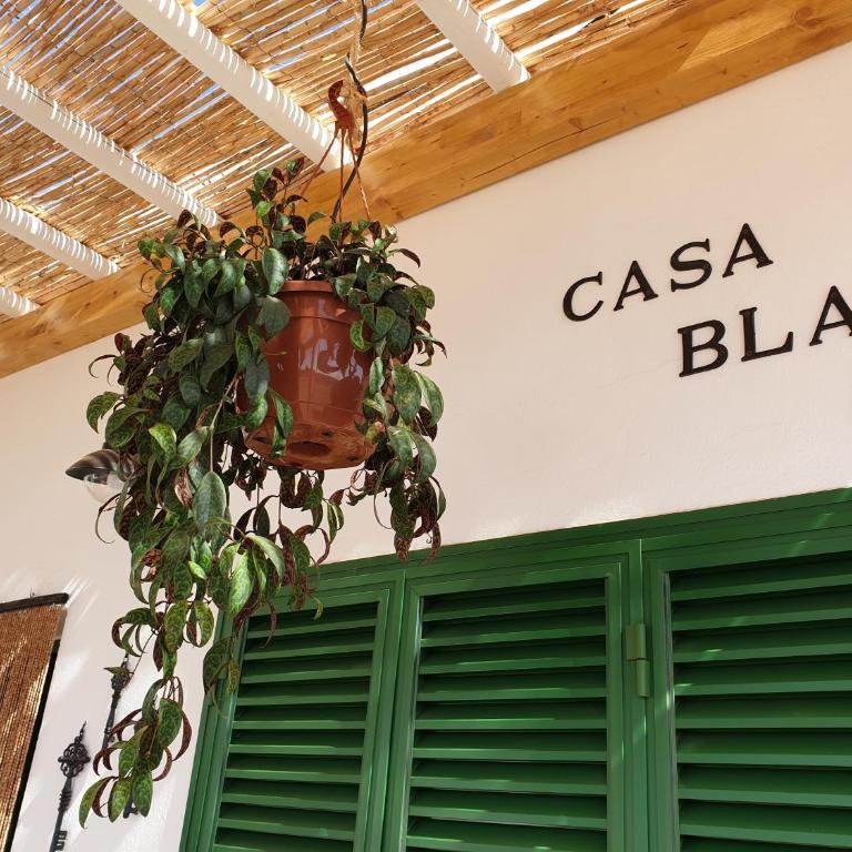 Casa Blas - Casa - 61