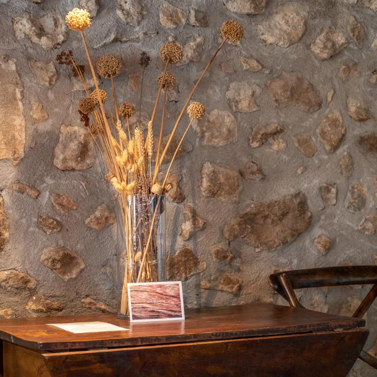 Agroturismo Son Siurana - Casa de 2 dormitorios - 3